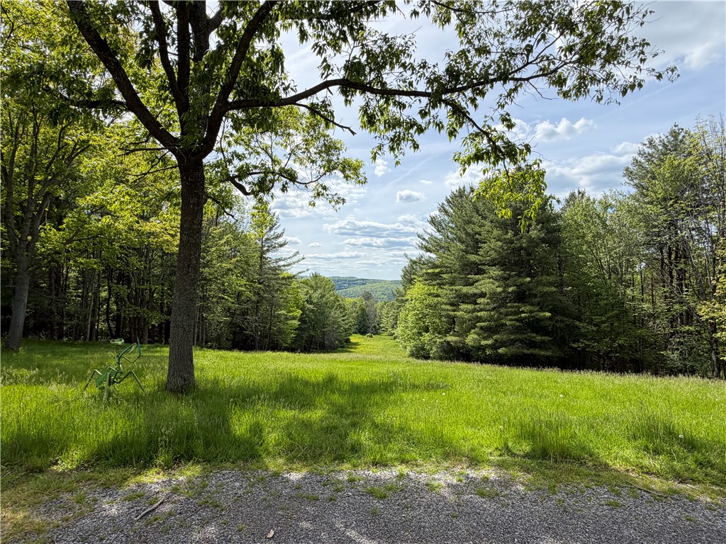 6943 Howard Road Friendship, NY 14739 - Photo 3 of 50