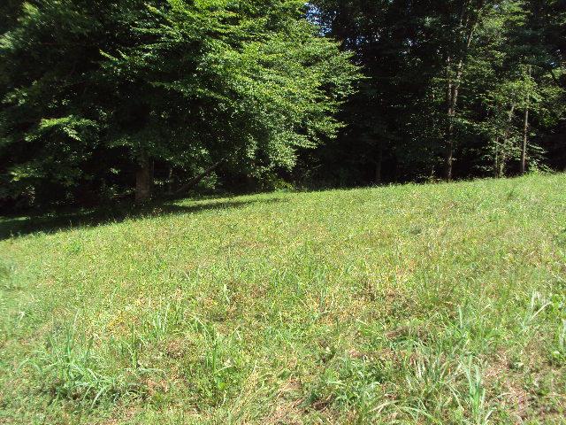 11103 Bugtussle Road Fountain Run, KY 42133 - Photo 16 of 18 Gallery Image 16