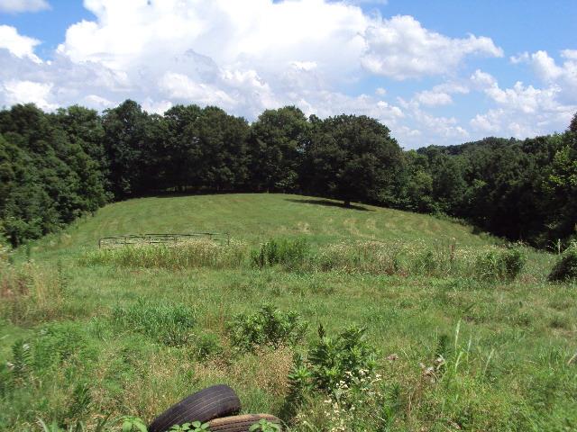 11103 Bugtussle Road Fountain Run, KY 42133 - Photo 6 of 18 Gallery Image 6