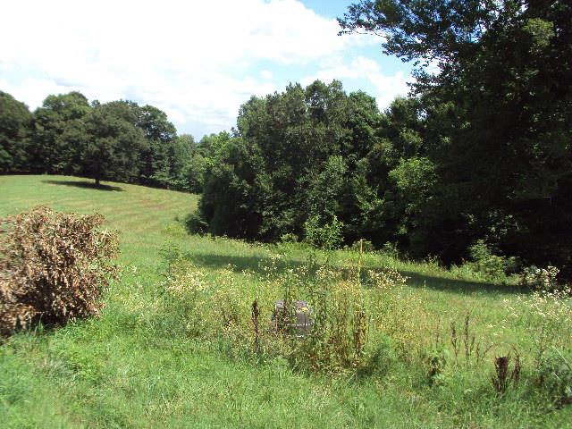 11103 Bugtussle Road Fountain Run, KY 42133 - Photo 7 of 18 Gallery Image 7