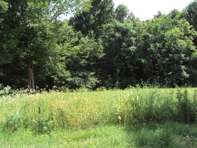 11103 Bugtussle Road Fountain Run, KY 42133 - Photo 8 of 18 Gallery Image 8