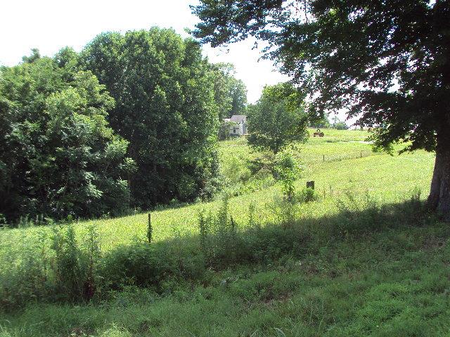 11103 Bugtussle Road Fountain Run, KY 42133 - Photo 9 of 18 Gallery Image 9