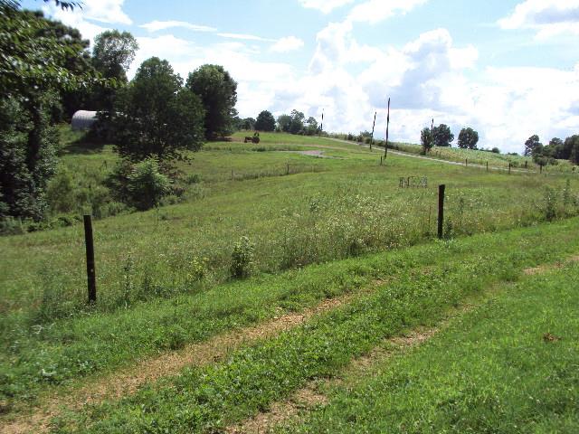 11103 Bugtussle Road Fountain Run, KY 42133 - Photo 10 of 18 Gallery Image 10