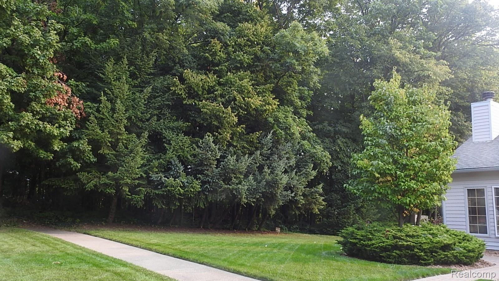 45754 Cider Mill Road Novi, MI 48374 - Photo 7 of 47 Backyard border