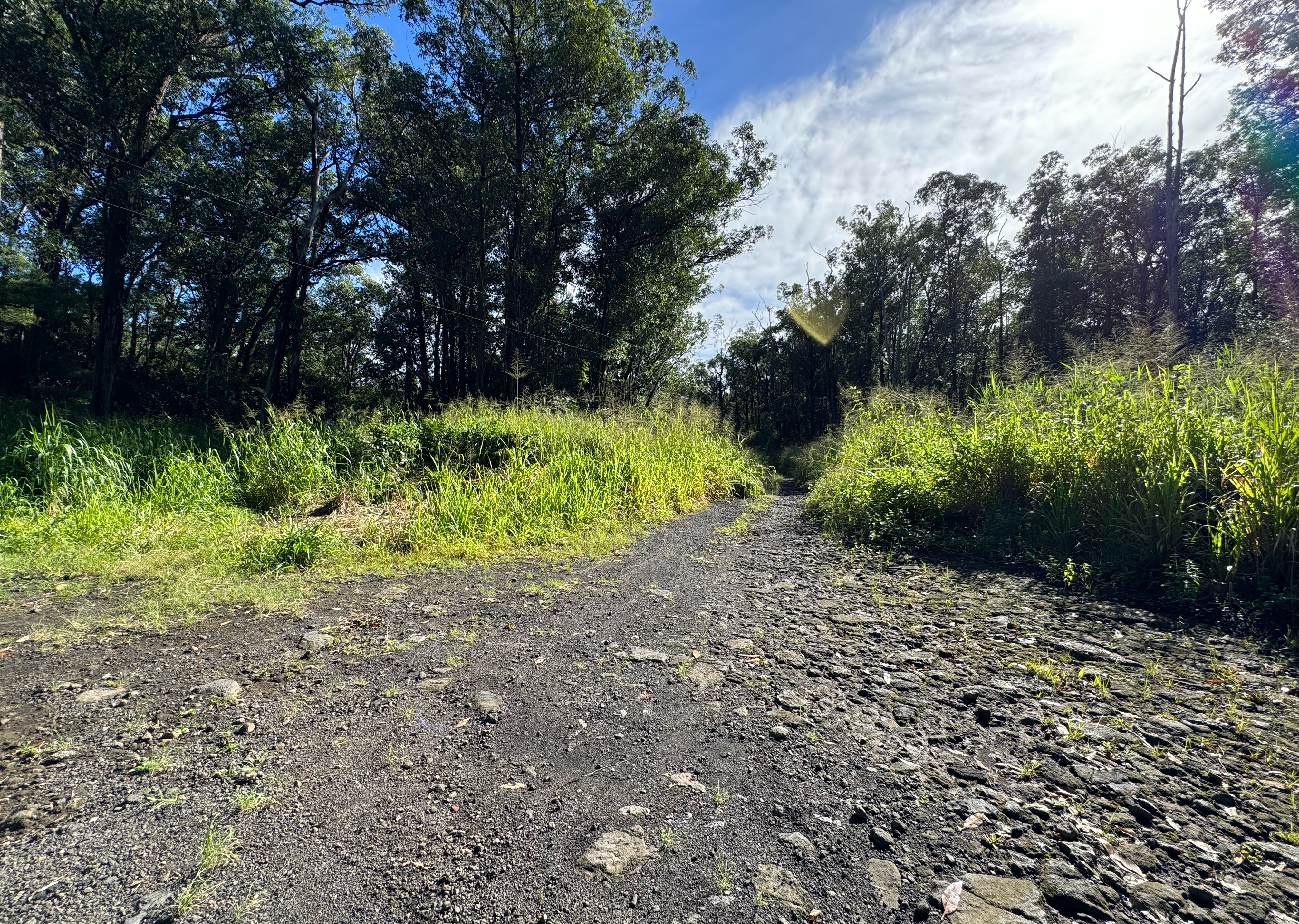 Wood Valley Road Pahala, HI 96777 - Photo 2 of 6 a pathway of a yard