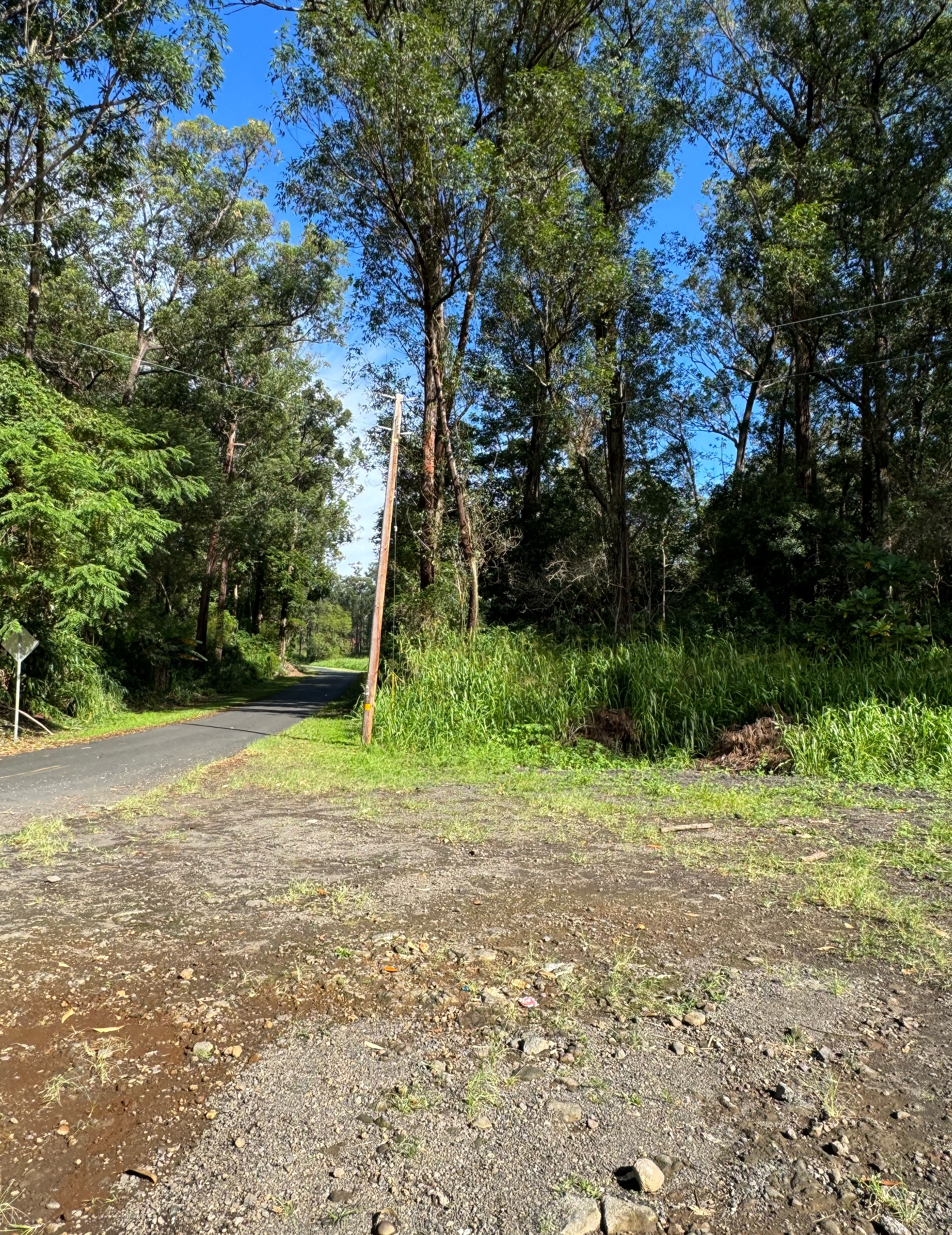 Wood Valley Road Pahala, HI 96777 - Photo 3 of 6 a view of a yard with a tree