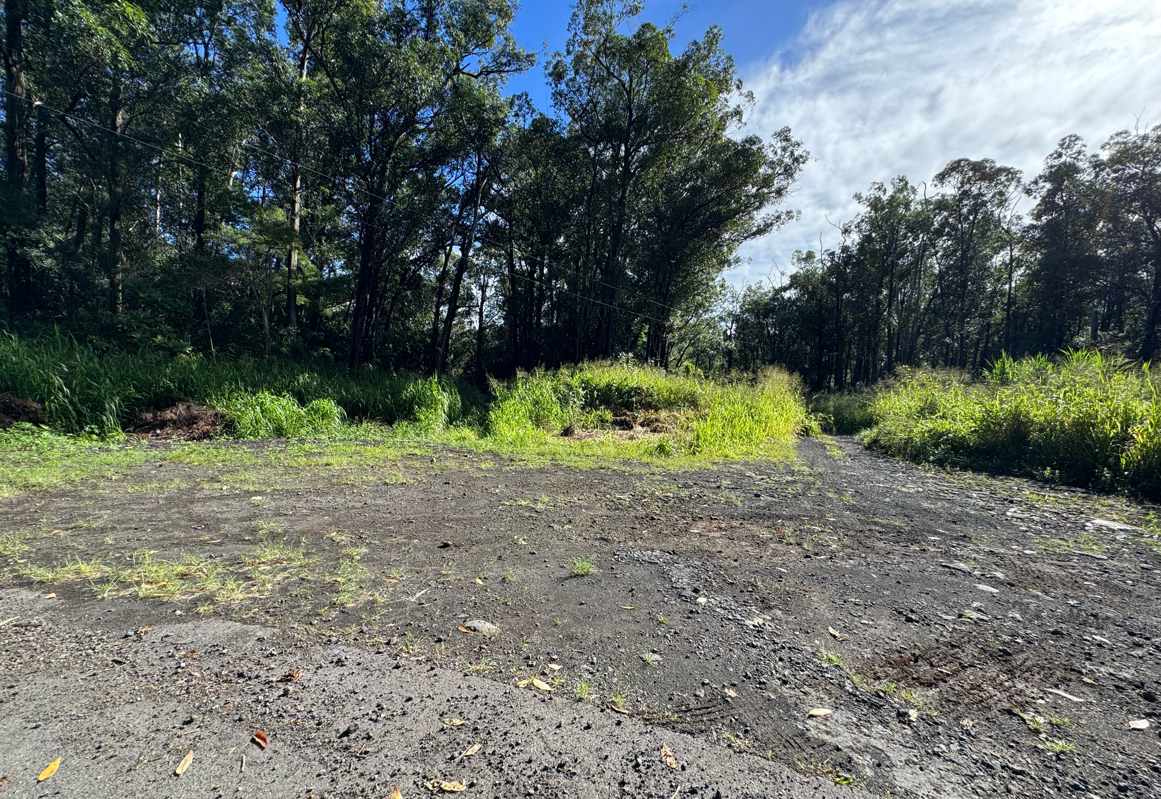 Wood Valley Road Pahala, HI 96777 - Photo 5 of 6 a view of the yard