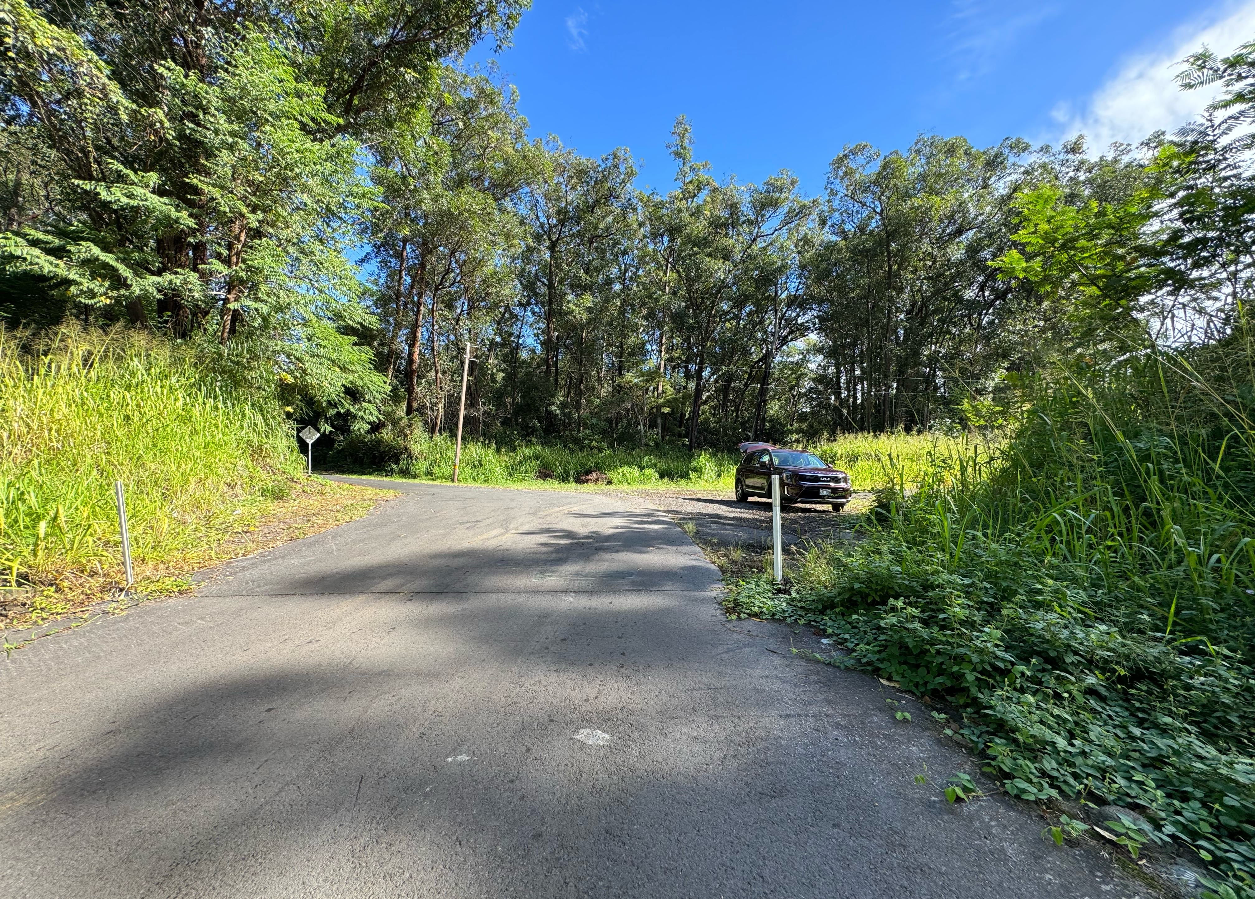 Wood Valley Road Pahala, HI 96777 - Photo 6 of 6 a view of outdoor space with garden