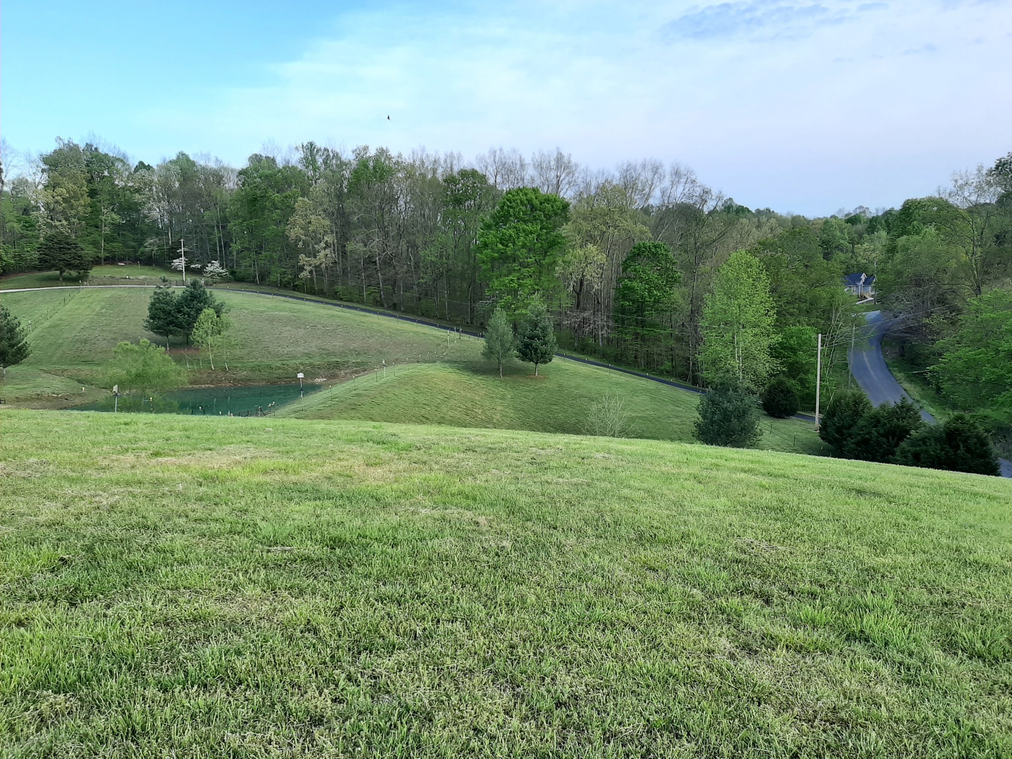 1345 Cowan Road Dickson, TN 37055 - Photo 49 of 68 a view of a grassy field with trees in the background