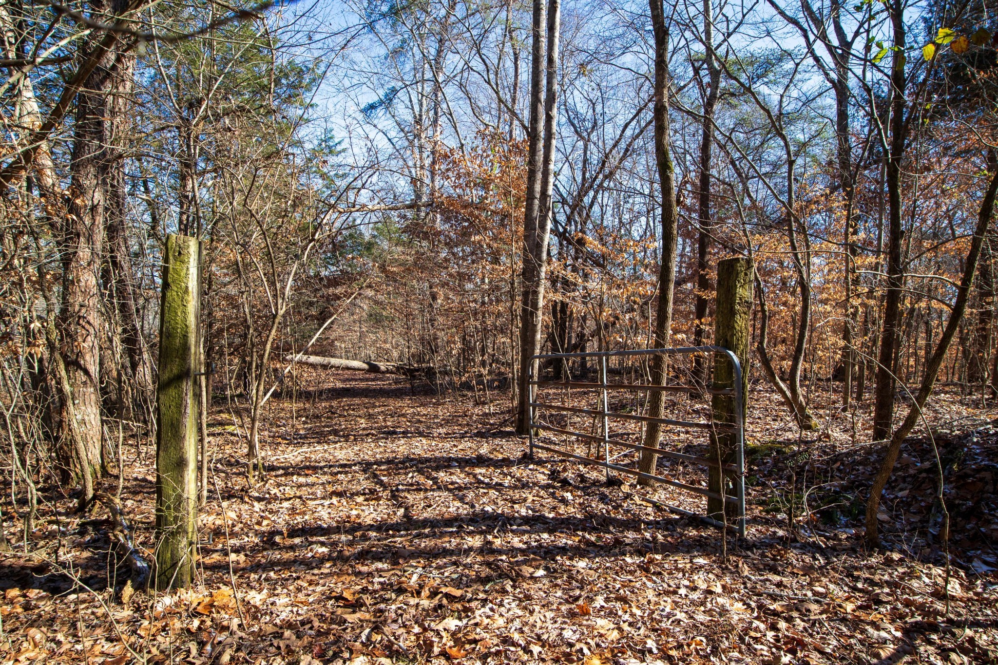 1899 Old Lock A Road Charlotte, TN 37036 - Photo 1 of 11 Gallery Image 1