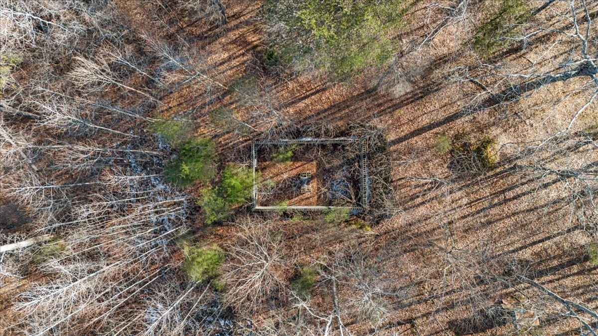 1899 Old Lock A Road Charlotte, TN 37036 - Photo 4 of 11 Gallery Image 4