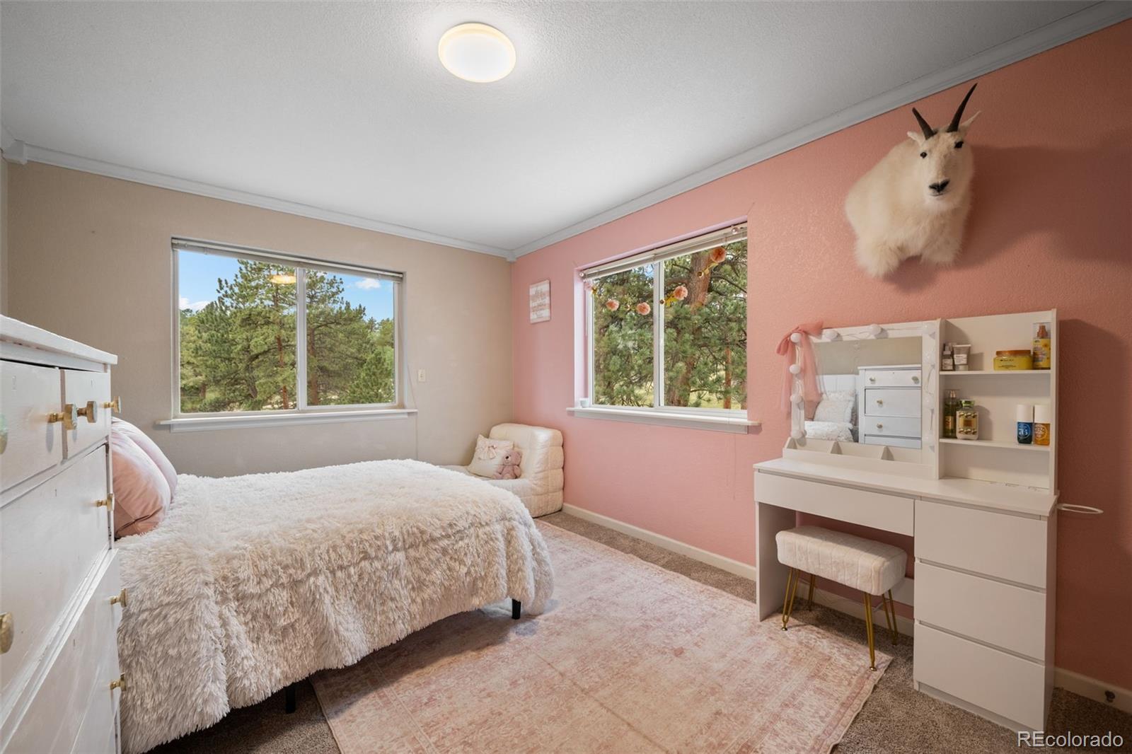 176 Fawn Road Bailey, CO 80421 - Photo 16 of 45