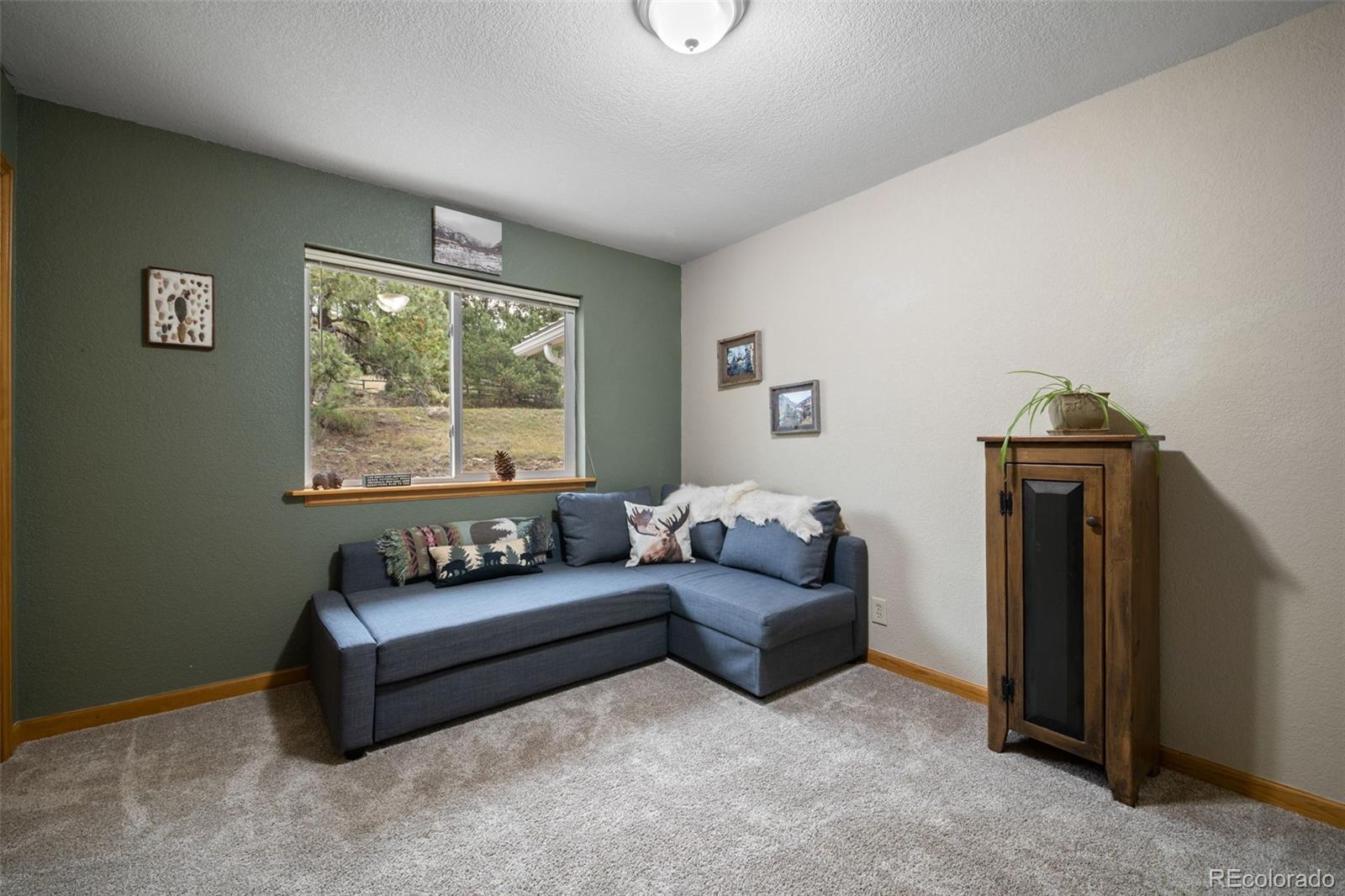 176 Fawn Road Bailey, CO 80421 - Photo 21 of 45