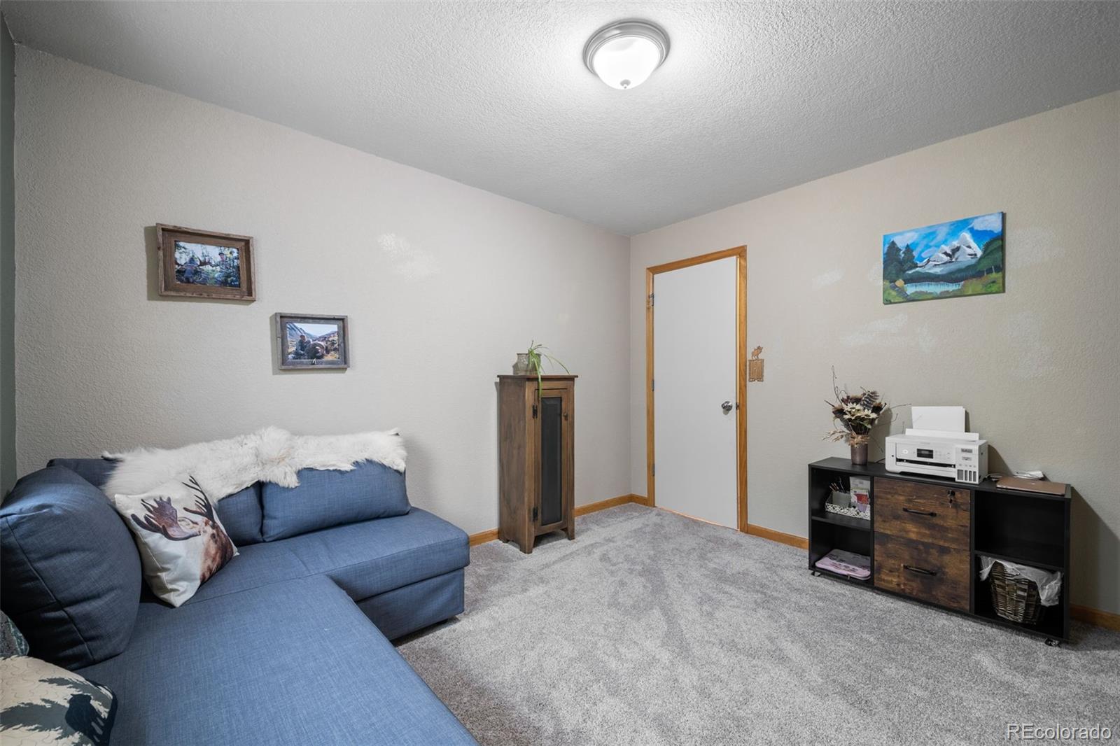 176 Fawn Road Bailey, CO 80421 - Photo 22 of 45