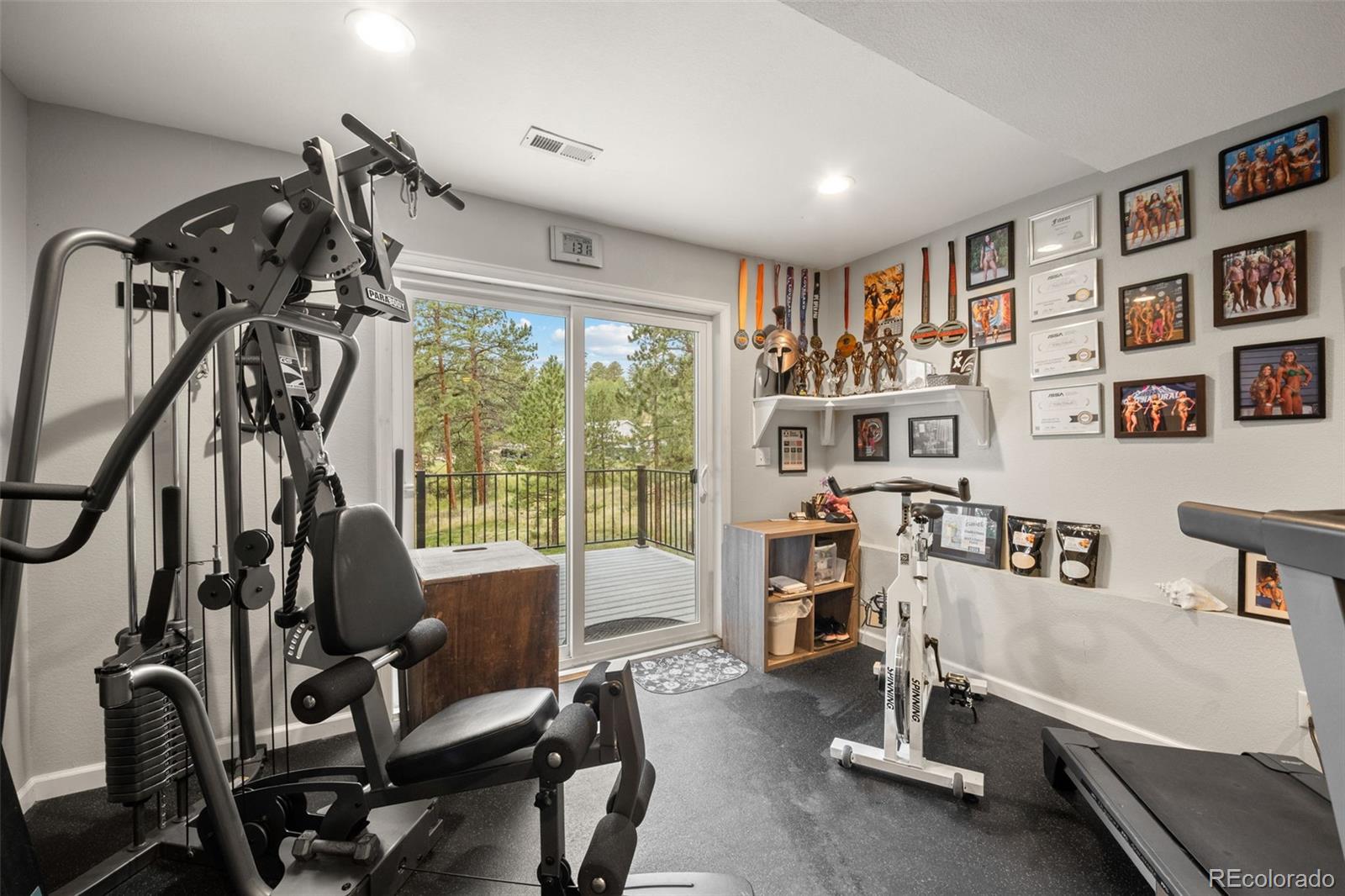 176 Fawn Road Bailey, CO 80421 - Photo 29 of 45