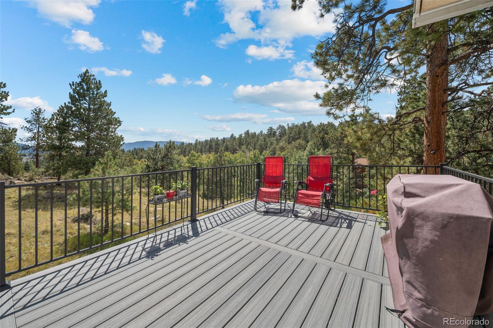 176 Fawn Road Bailey, CO 80421 - Photo 33 of 45