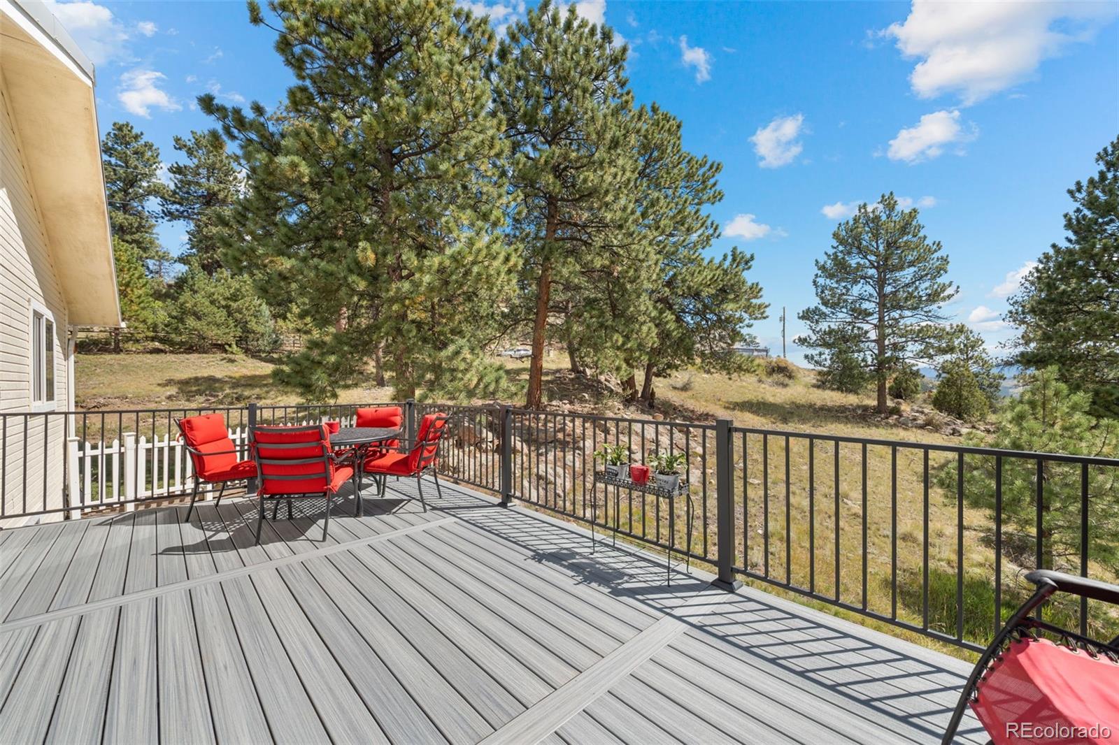 176 Fawn Road Bailey, CO 80421 - Photo 34 of 45