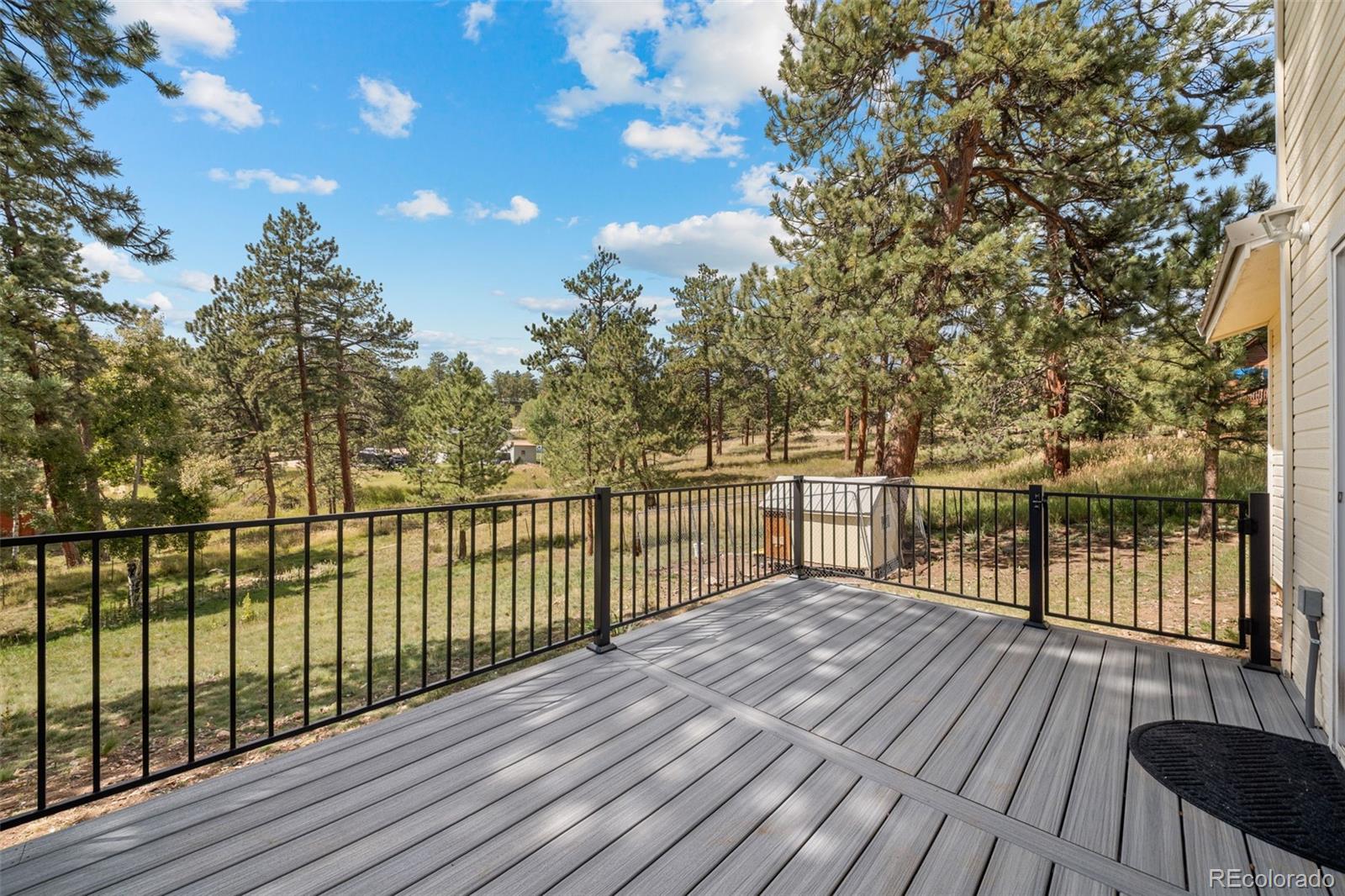 176 Fawn Road Bailey, CO 80421 - Photo 36 of 45