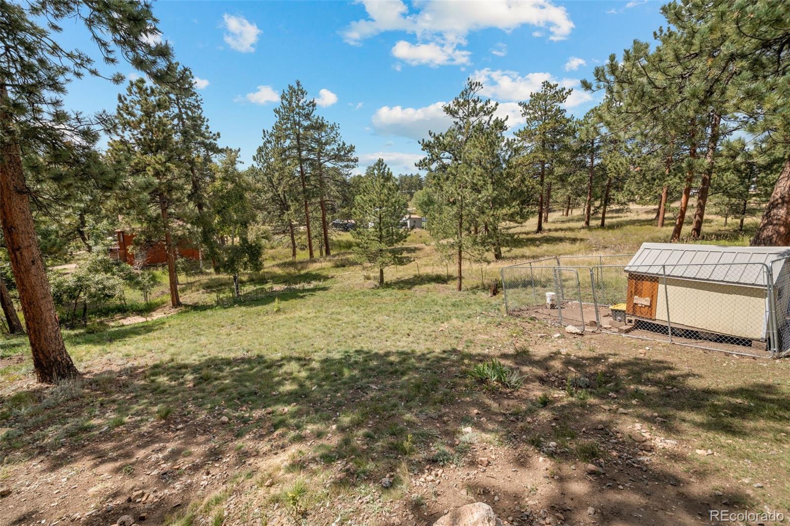 176 Fawn Road Bailey, CO 80421 - Photo 38 of 45