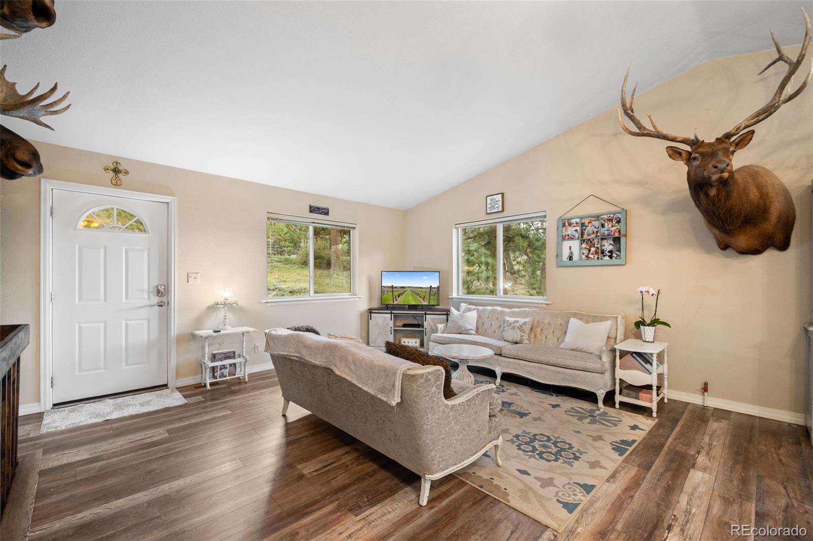 176 Fawn Road Bailey, CO 80421 - Photo 6 of 45