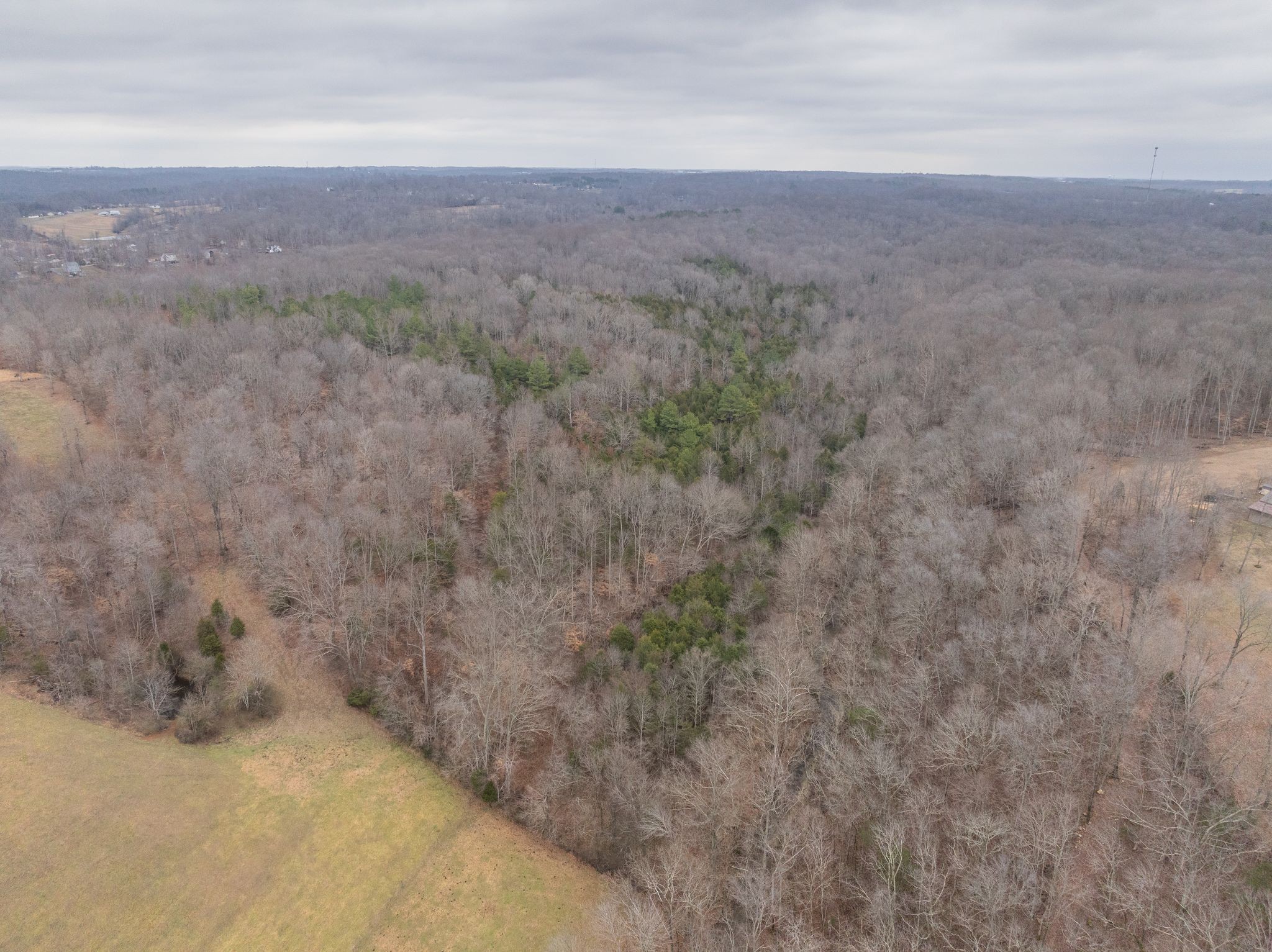 0 Wiley Branch Road Dickson, TN 37055 - Photo 1 of 27