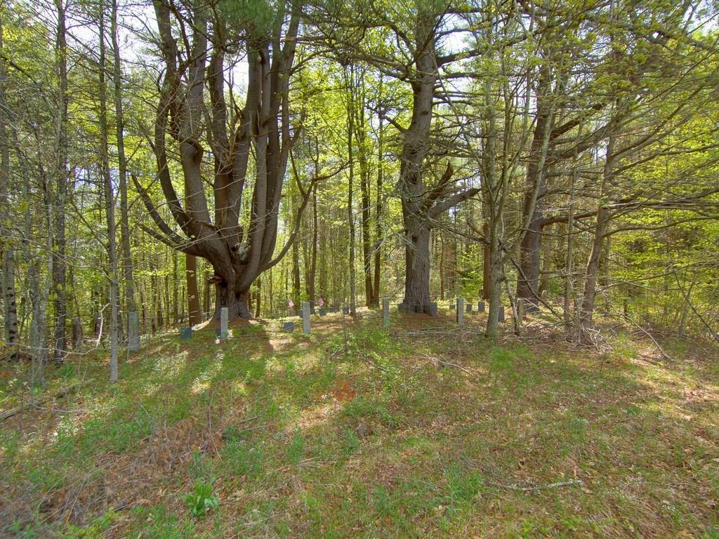 0 Blackberry Hill Road Berwick, ME 03901 - Photo 14 of 18 Open meadow deep in the woods leads...
