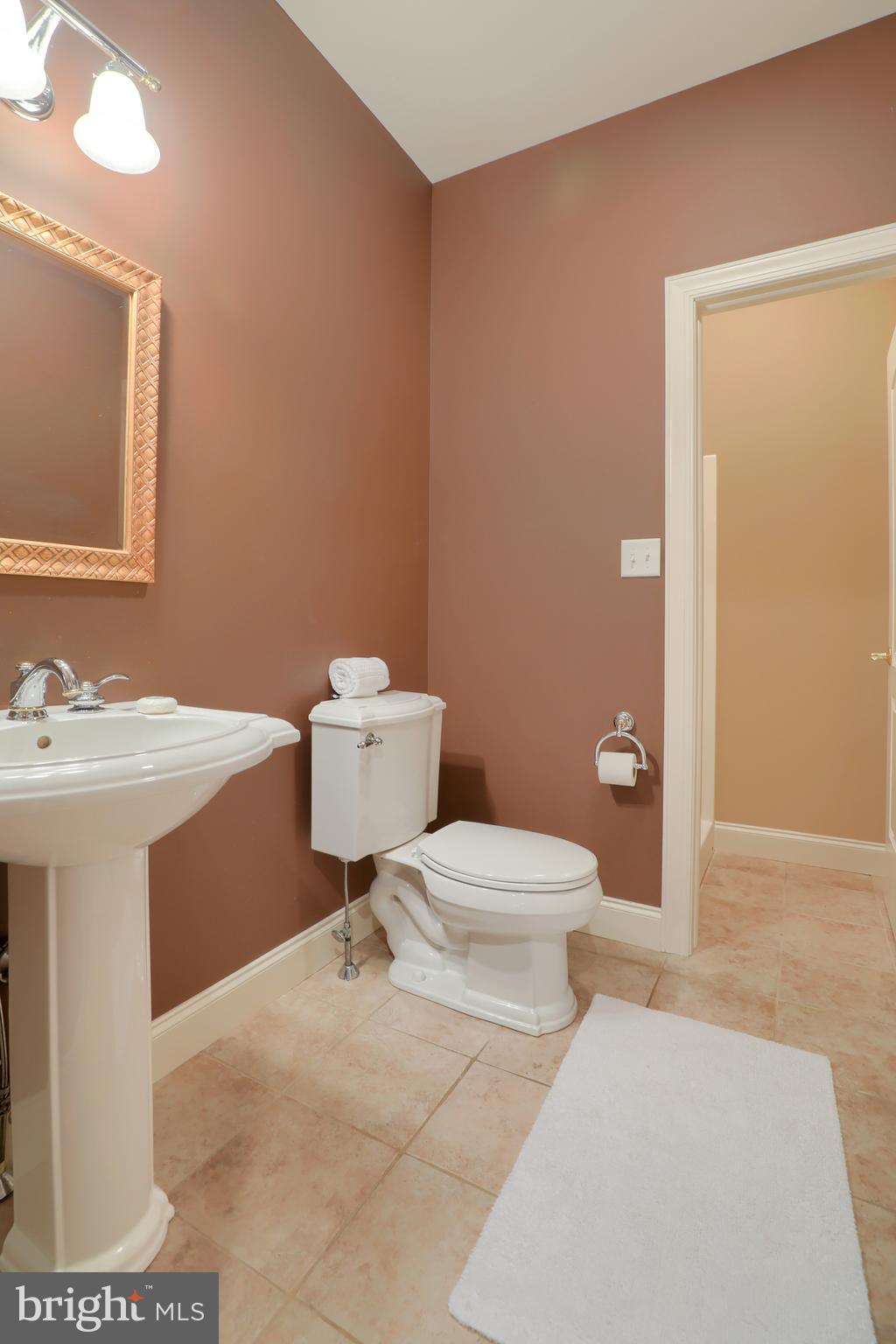 1133 North Lefever Drive Lititz, PA 17543 - Photo 24 of 49 Gallery Image 24