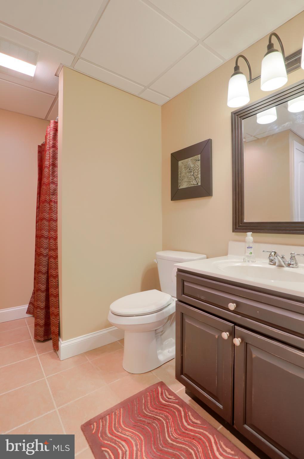 1133 North Lefever Drive Lititz, PA 17543 - Photo 30 of 49 Gallery Image 30