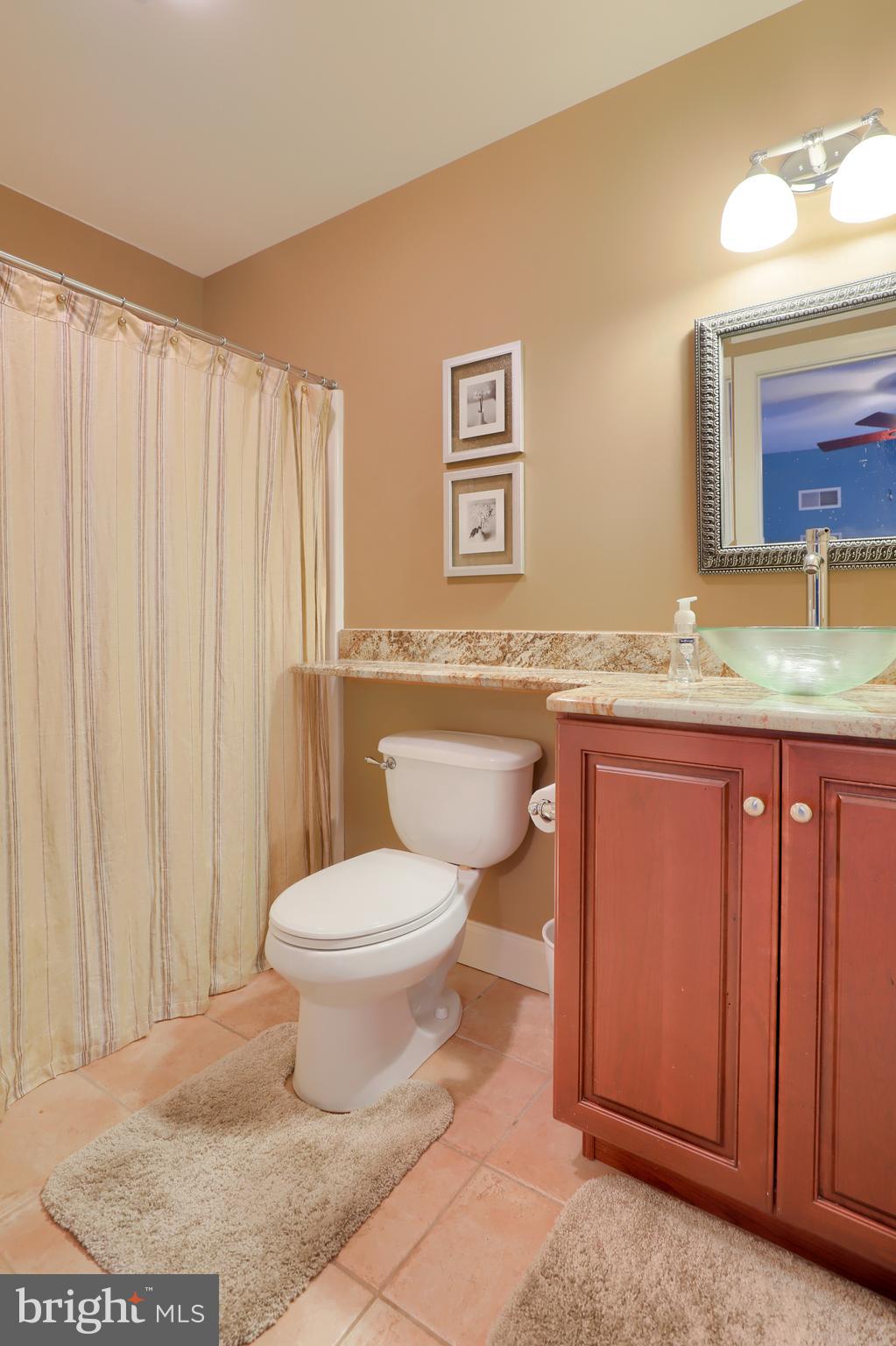 1133 North Lefever Drive Lititz, PA 17543 - Photo 44 of 49 Gallery Image 44