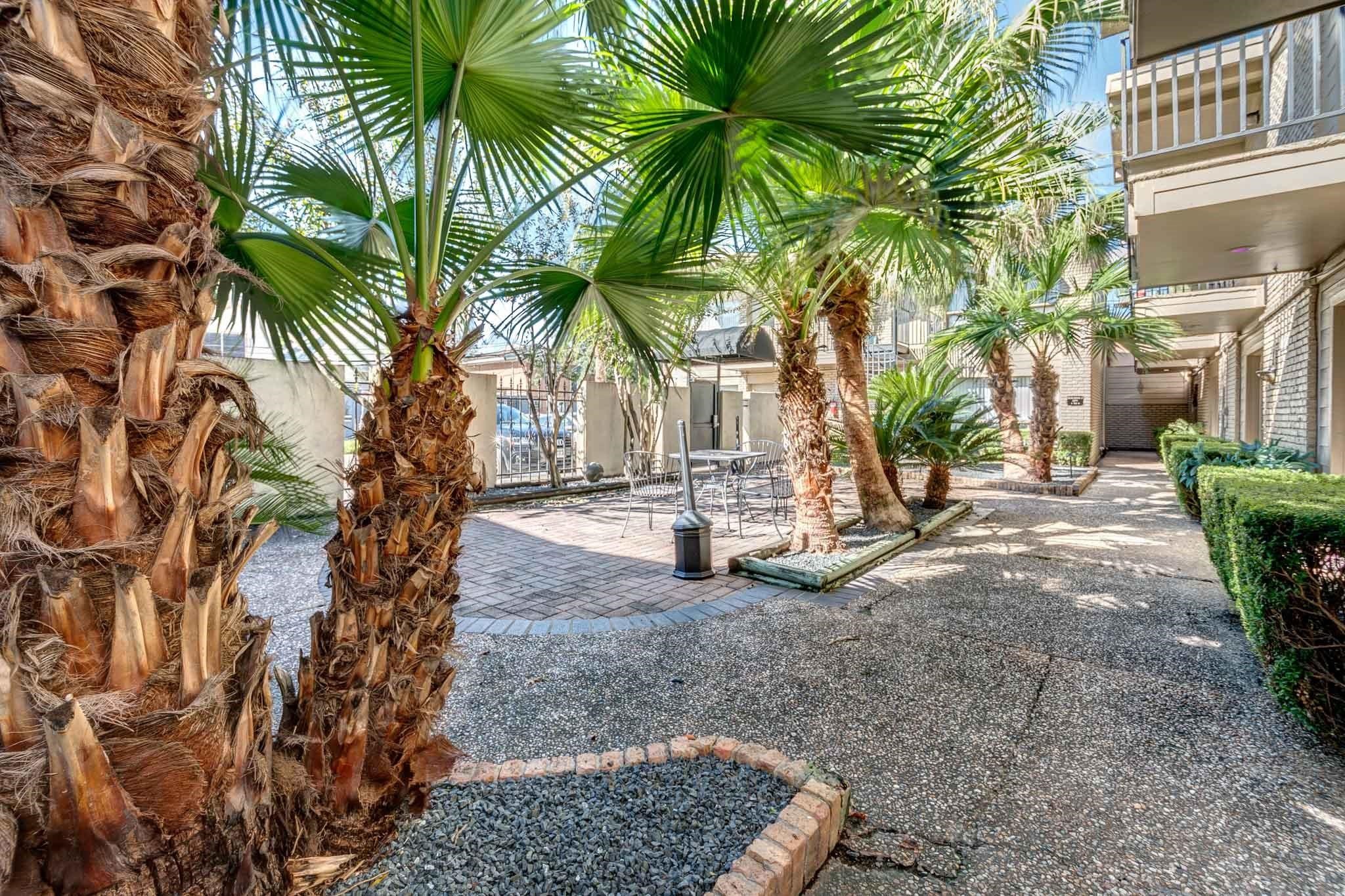 a view of outdoor space with trees