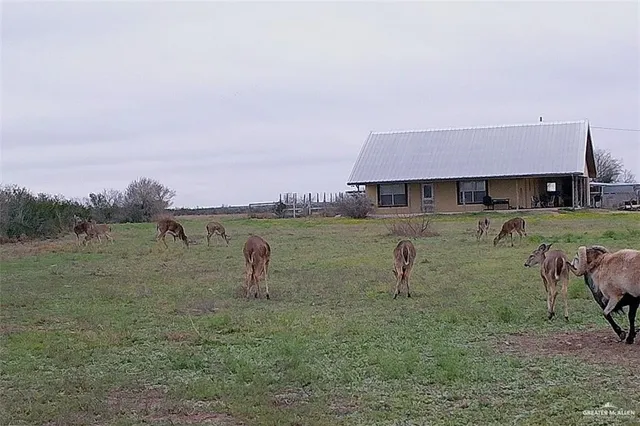 a room with furniture a chandelier and a window
