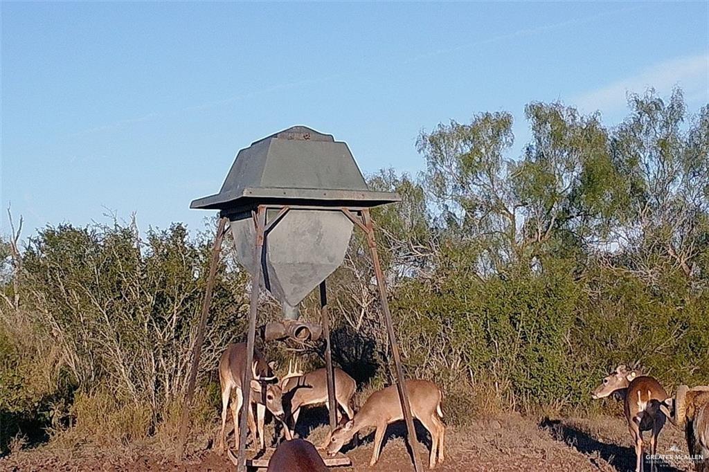 0 Loma Blanca Road Roma, TX 78584 - Photo 27 of 40