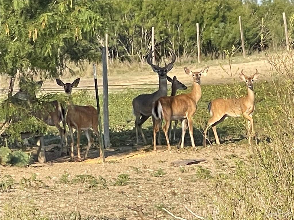 0 Loma Blanca Road Roma, TX 78584 - Photo 3 of 40 a view of outdoor space yard and patio