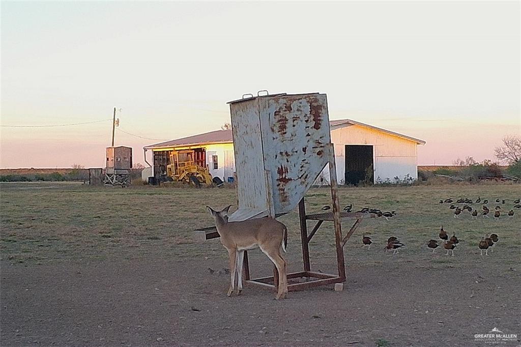 0 Loma Blanca Road Roma, TX 78584 - Photo 36 of 40 a view of terrace