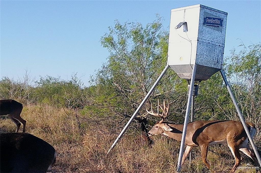 0 Loma Blanca Road Roma, TX 78584 - Photo 37 of 40 a house with a sitting space and garden space