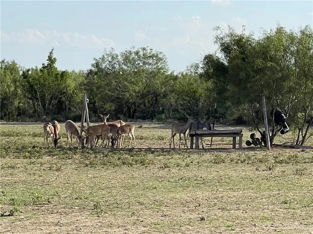 a view of a bench with wooden fence