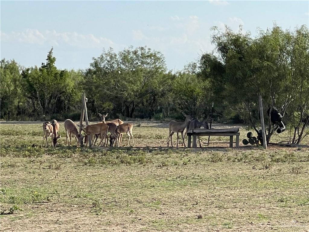 0 Loma Blanca Road Roma, TX 78584 - Photo 5 of 40 a view of a lake with a bench