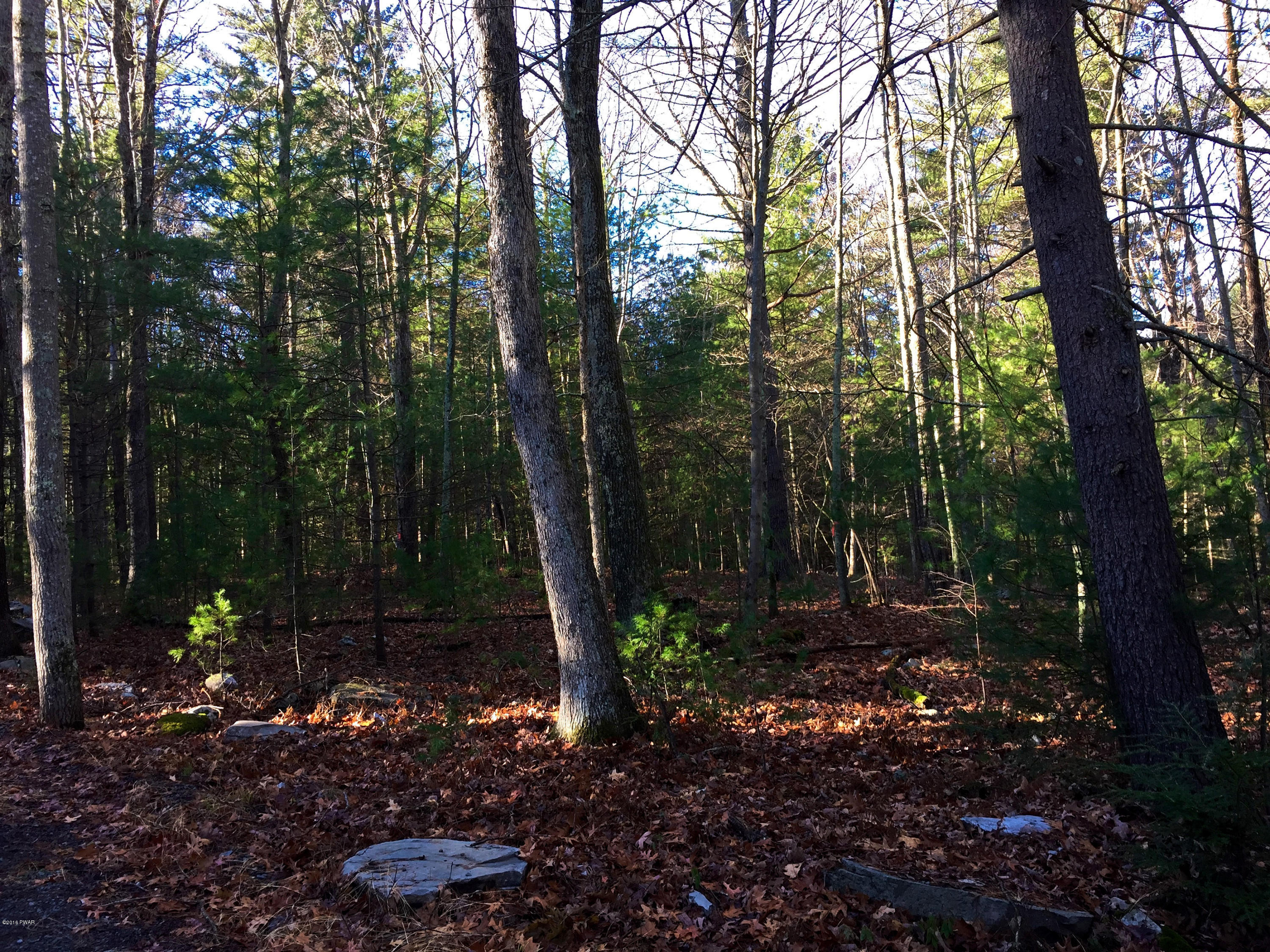 Lot 133 Silver Lake Road Dingmans Ferry, PA 18328 - Photo 6 of 15