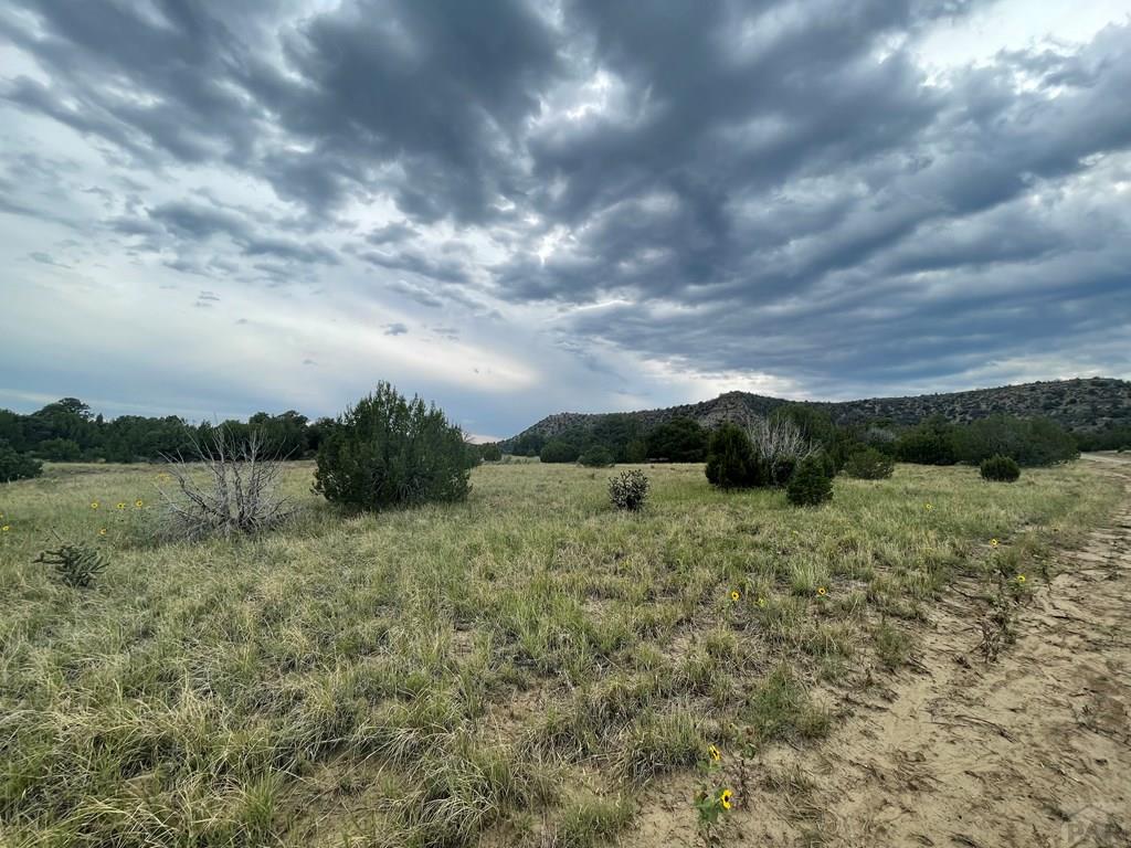 Tbd(#93 Rancho Verde Road Trinidad, CO 81082 - Photo 17 of 20 Gallery Image 17