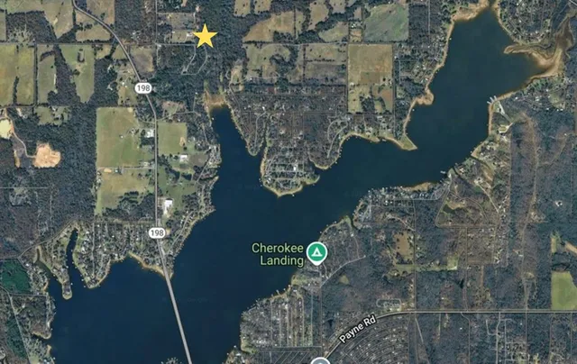 a vase of flowers sitting on a table