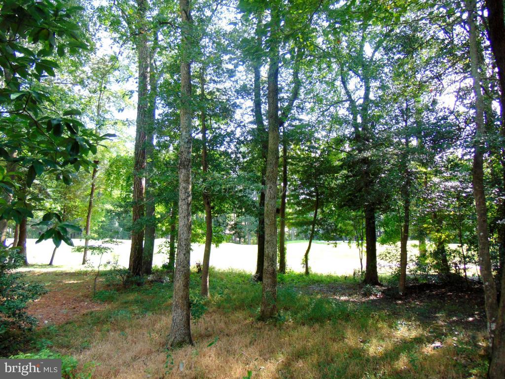 60 Battersea Road Ocean Pines, MD 21811 - Photo 31 of 31 Gallery Image 31