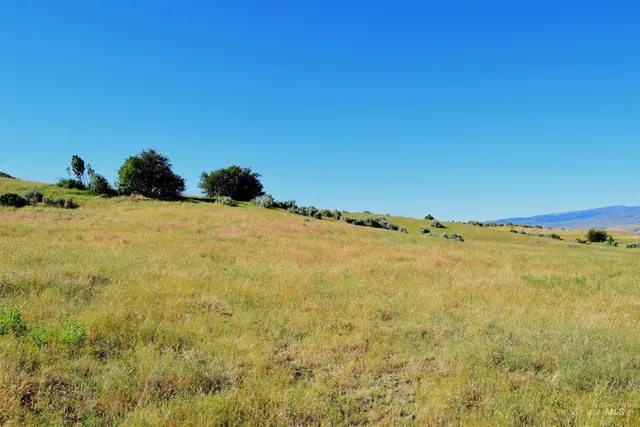 $880,000 | 95 Indian Valley, Indian Valley, ID 83632