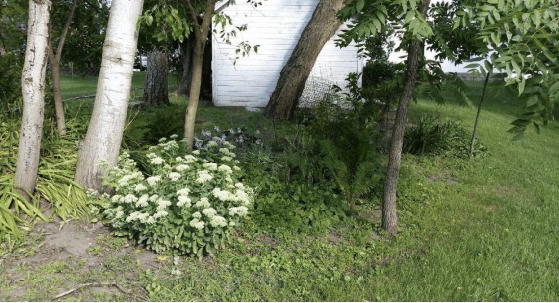403 Commercial Street Strawberry Point, IA 52076 - Photo 8 of 11 Gallery Image 8