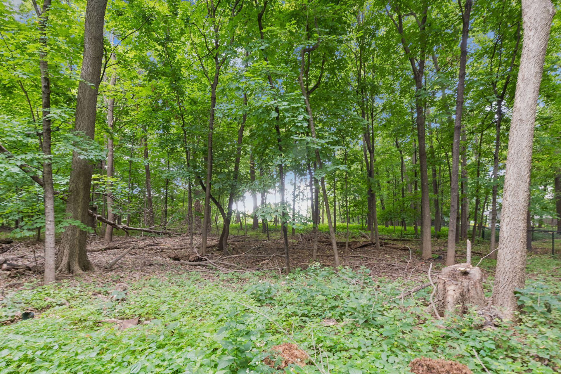 27885 Woodside Road Excelsior, MN 55331 - Photo 47 of 48 Gallery Image 47