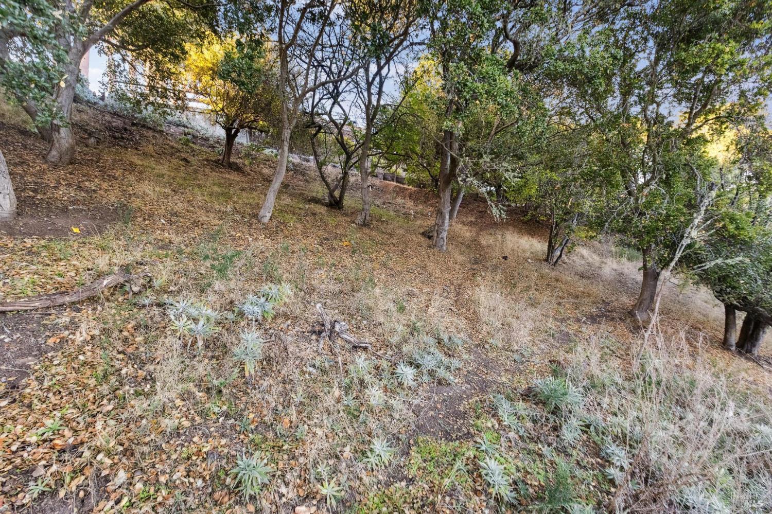 0 Tower Point Lane Tiburon, CA 94920 - Photo 20 of 28