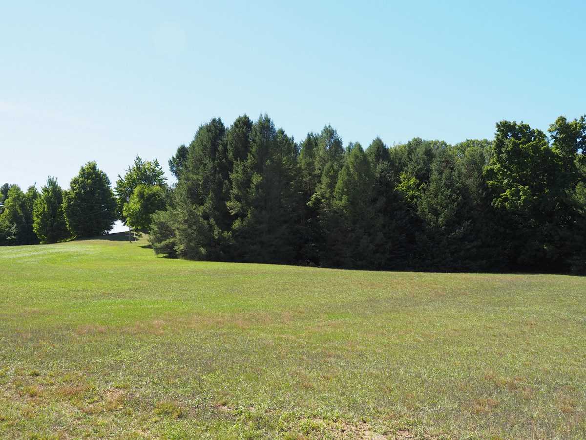 4106 Waug Road Benzonia, MI 49616 - Photo 4 of 30