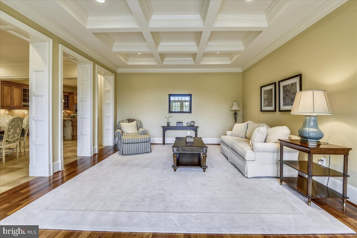 12056 Open Run Road Ellicott City, MD 21042 - Photo 14 of 114 Incredible coffered ceiling