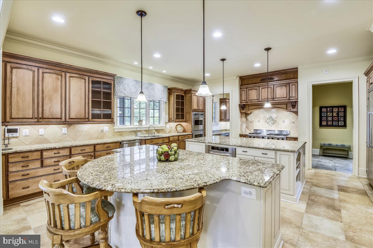 12056 Open Run Road Ellicott City, MD 21042 - Photo 19 of 114 Large island to sit and enjoy the family "chef"