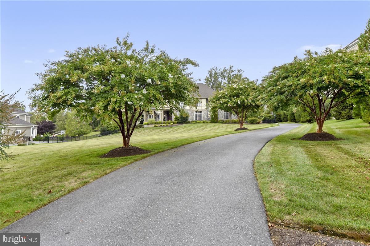 Lovely tree lined driveway to side garage