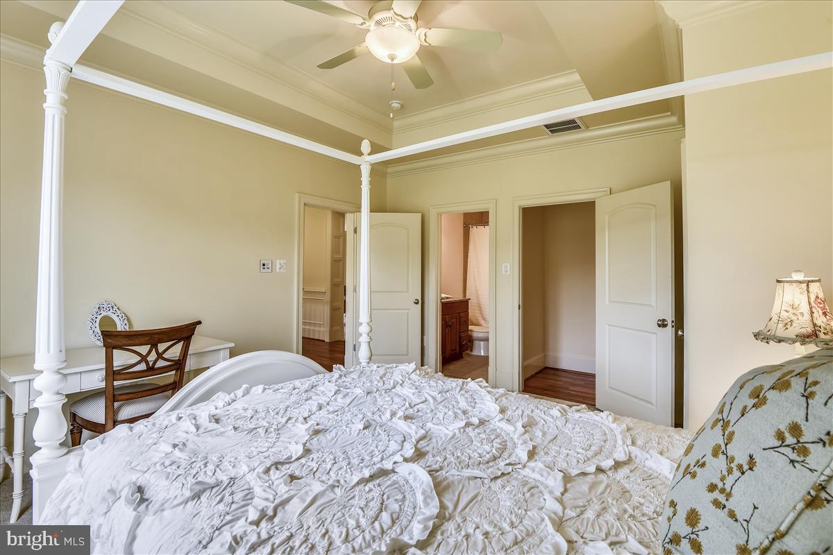 12056 Open Run Road Ellicott City, MD 21042 - Photo 58 of 114 Tres ceiling in Second Bedroom